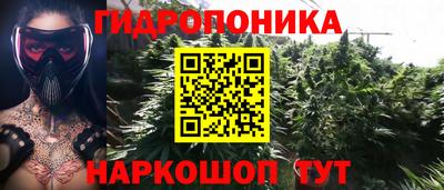 МДПВ Будённовск