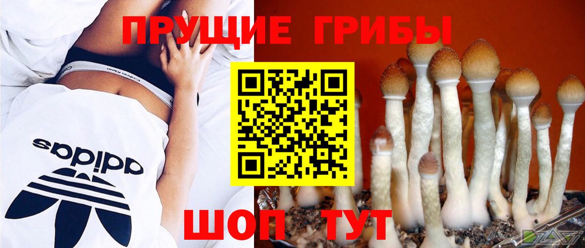 Псилоцибиновые грибы MAGIC MUSHROOMS  Вход с VPN  Ярцево  Галлюциногенные грибы Magic Shrooms 